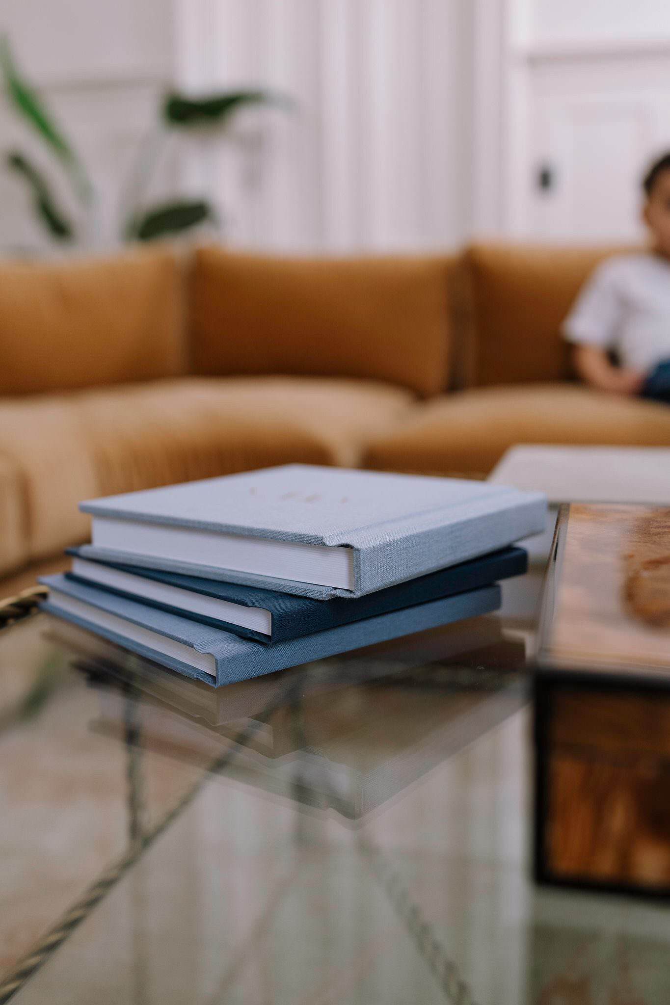 Three cloth bound albums stacked in soft tones, family blurred behind