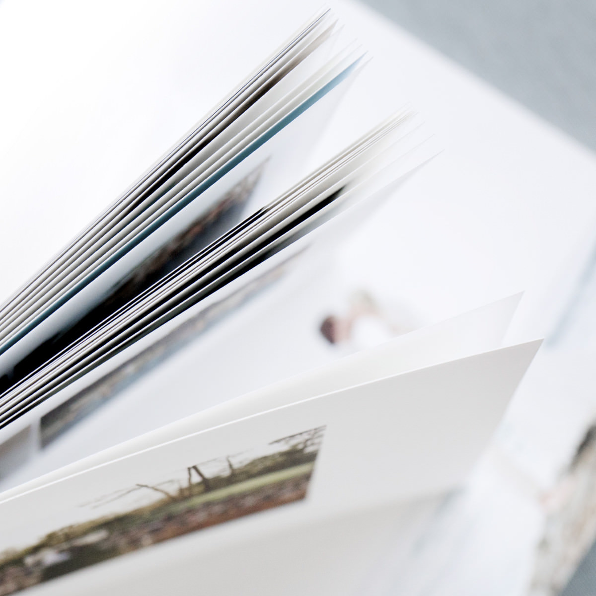 softcover book redtree albums